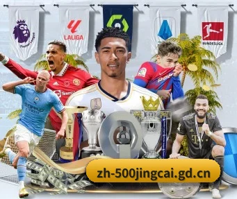 500万网彩票 APP